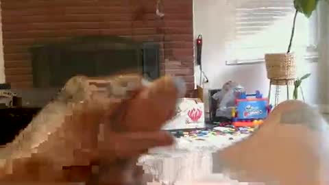 ryanbobby88 online show from November 1, 2025, 2:19 pm