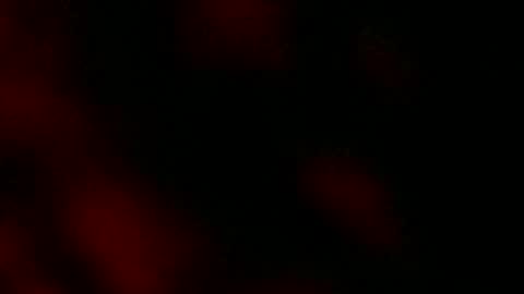 Snapshot of ryanstar7 chatting on January 18, 2025, 8:10 am Ryan Star online show from January 18, 2025, 8:10 am