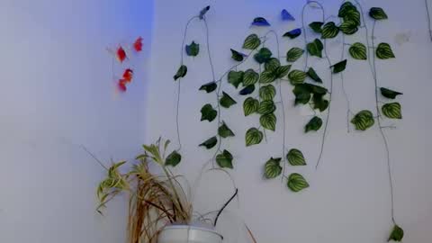 SABRI online show from April 4, 2026, 3:09 pm