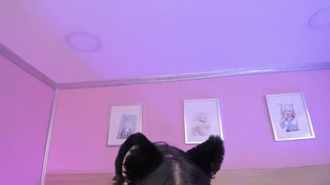 Ig  online show from February 15, 2025, 3:31 am