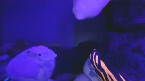 saddybaddie online show from March 13, 2026, 6:09 am