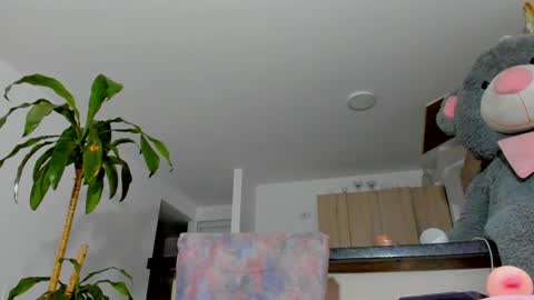 Sara  online show from December 7, 2024, 8:55 am