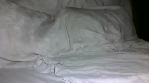 SD17 online show from February 5, 2025, 1:44 pm