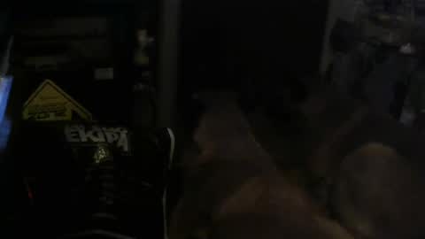 salaso138 online show from February 14, 2025, 11:31 pm