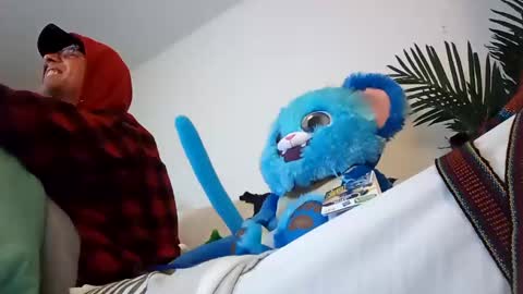 salis1981 online show from January 22, 2025, 2:04 am