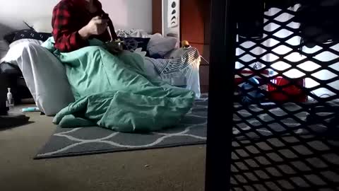 salis1981 online show from February 7, 2025, 3:34 am