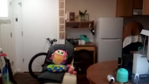 salis1981 online show from September 25, 2025, 6:33 pm