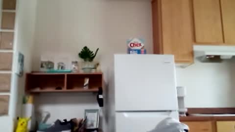 salis1981 online show from February 9, 2026, 8:46 pm