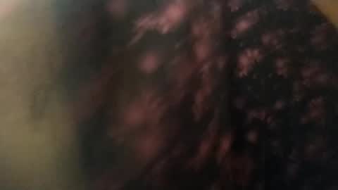 salmonman1305 online show from January 17, 2025, 11:49 am