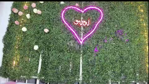 salome online show from January 25, 2025, 10:50 pm