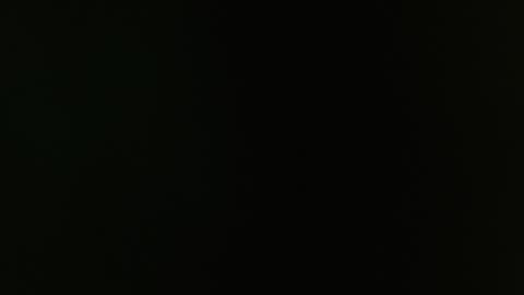 SAM AND BRENDA online show from December 30, 2024, 12:20 pm