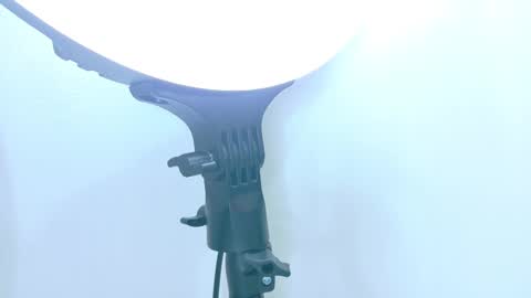   online show from November 17, 2025, 12:00 pm