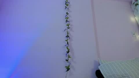 Samanta online show from February 23, 2025, 1:42 pm