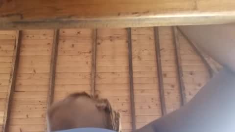 Alejandra  online show from March 8, 2025, 12:09 pm