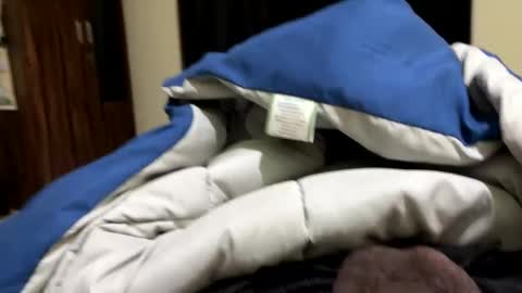 samnivin online show from December 1, 2025, 7:19 pm