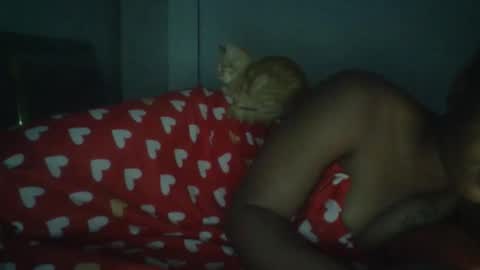 sapgaal online show from January 17, 2026, 2:49 am