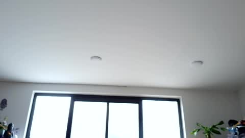 Snapshot of sapphire_mei866 chatting on May 14, 2026, 7:42 pm safir online show from May 14, 2026, 7:42 pm