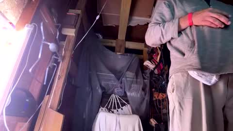 Sarrah Sweet online show from February 15, 2026, 10:14 am