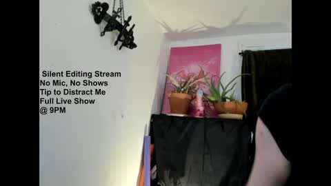 Sara Desire online show from February 8, 2025, 8:42 pm