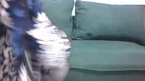 sarah_haggai online show from November 4, 2025, 4:11 am