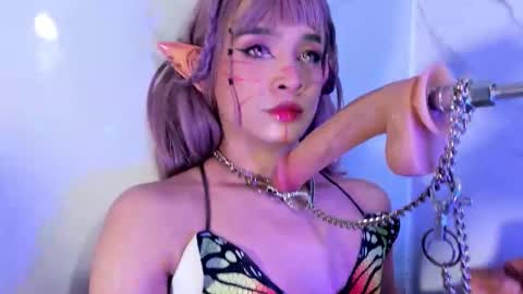    online show from February 20, 2026, 5:15 am