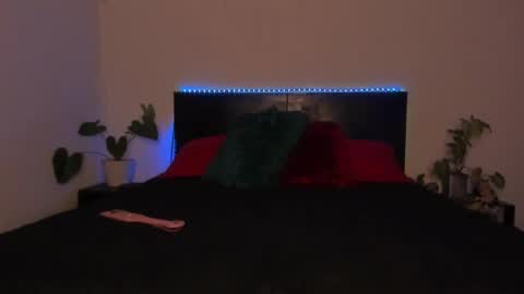 Snapshot of sarahredi chatting on January 19, 2025, 11:53 pm Girl next door online show from January 19, 2025, 11:53 pm