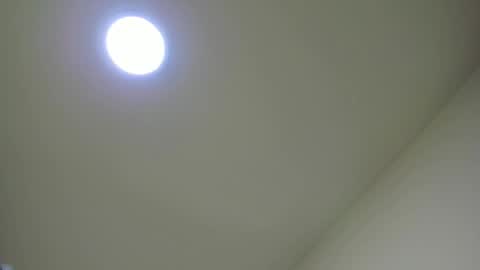 Snapshot of sarasaenz__ chatting on February 24, 2025, 11:54 am online show from February 24, 2025, 11:54 am