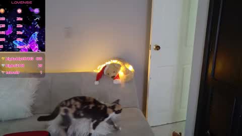 Saritha online show from March 22, 2026, 2:09 pm