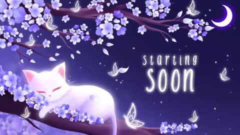 Sassy Sami Kittyn online show from February 17, 2025, 5:47 am