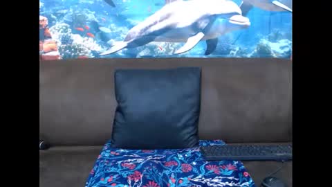 sasyylissaa online show from March 3, 2025, 7:39 pm