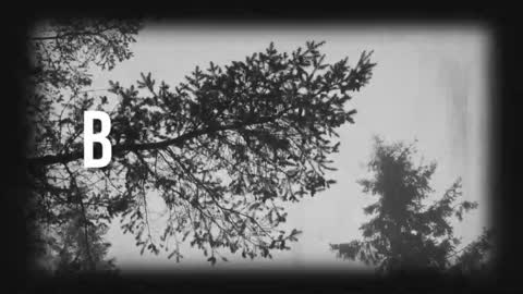 pronoun she. name Mary. age 21. online show from March 19, 2026, 11:31 pm