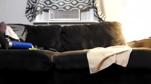 sayhi2mylilguy online show from February 22, 2025, 7:45 am