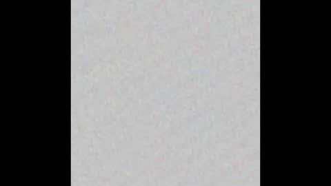 Venus online show from February 2, 2025, 2:24 pm