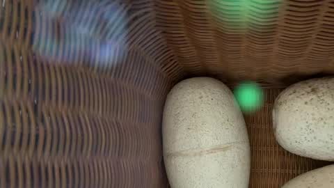 scarlajade online show from May 15, 2026, 2:51 am