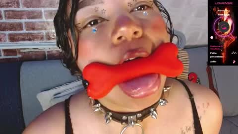 Scarlet online show from March 25, 2026, 6:19 am