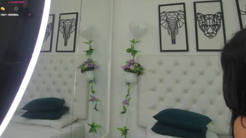 Isa online show from February 8, 2025, 11:01 am