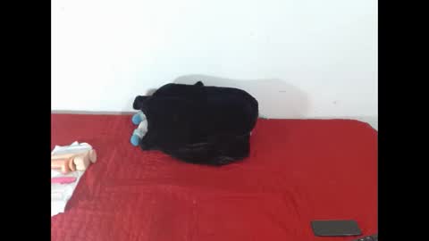 Scarletfox Fox online show from February 12, 2026, 7:31 pm