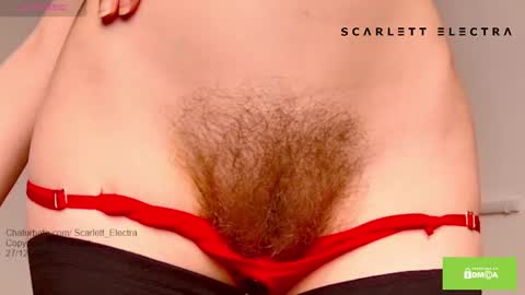 SCARLETT ELECTRA  -  online show from December 27, 2024, 7:14 pm