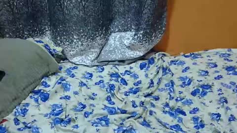 Snapshot of scorviaamanda254 chatting on January 24, 2025, 3:11 am Its Lilly online show from January 24, 2025, 3:11 am