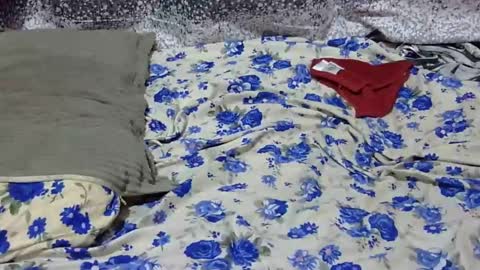 Snapshot of scorviaamanda254 chatting on January 25, 2025, 3:09 am Its Lilly online show from January 25, 2025, 3:09 am