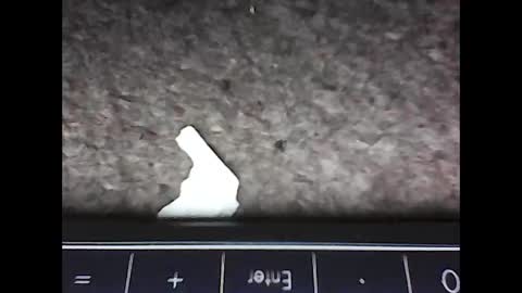 Snapshot of scots_repeater chatting on February 14, 2025, 12:09 am scots_repeater online show from February 14, 2025, 12:09 am