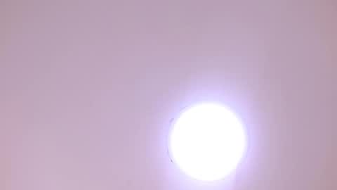 Damar online show from January 8, 2026, 6:32 pm