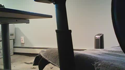 scottie813 online show from December 12, 2024, 8:32 pm