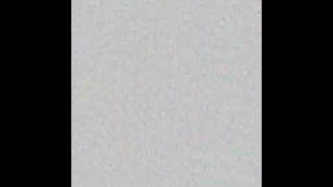 danny online show from January 4, 2025, 11:17 pm