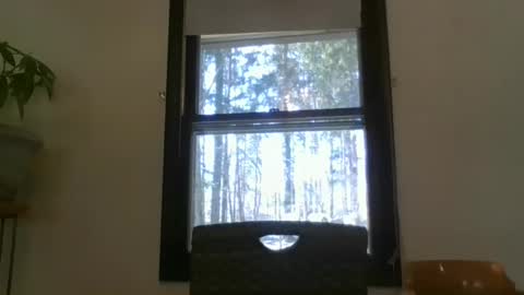 scottpbi52 online show from March 10, 2025, 7:07 pm