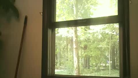 scottpbi52 online show from September 15, 2025, 4:29 pm