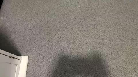 scottyc48 online show from November 12, 2025, 2:39 pm