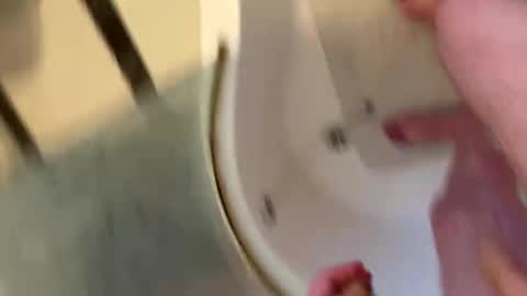 scottyc48 online show from January 15, 2026, 2:43 pm