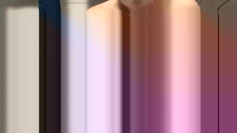 sdriv33390317 online show from March 30, 2026, 11:22 am