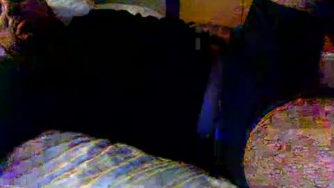 dick online show from February 19, 2025, 12:00 pm